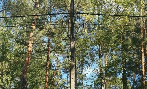 Zdjęcie do Mazowsze dla sołectw 2024