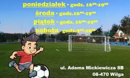 Boisko wielofunkcyjne w Wildze.