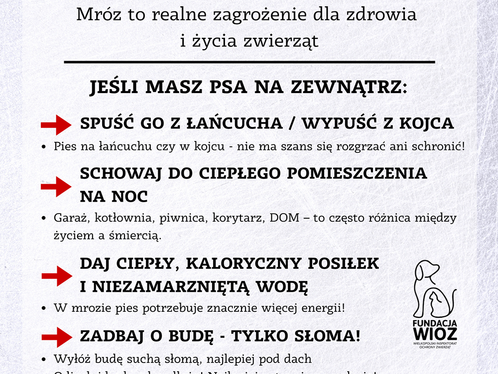 Apel do właścicieli zwierząt - niskie temperatury