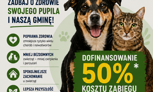 Sterylizacja i kastracja psów i kotów właścicielskich