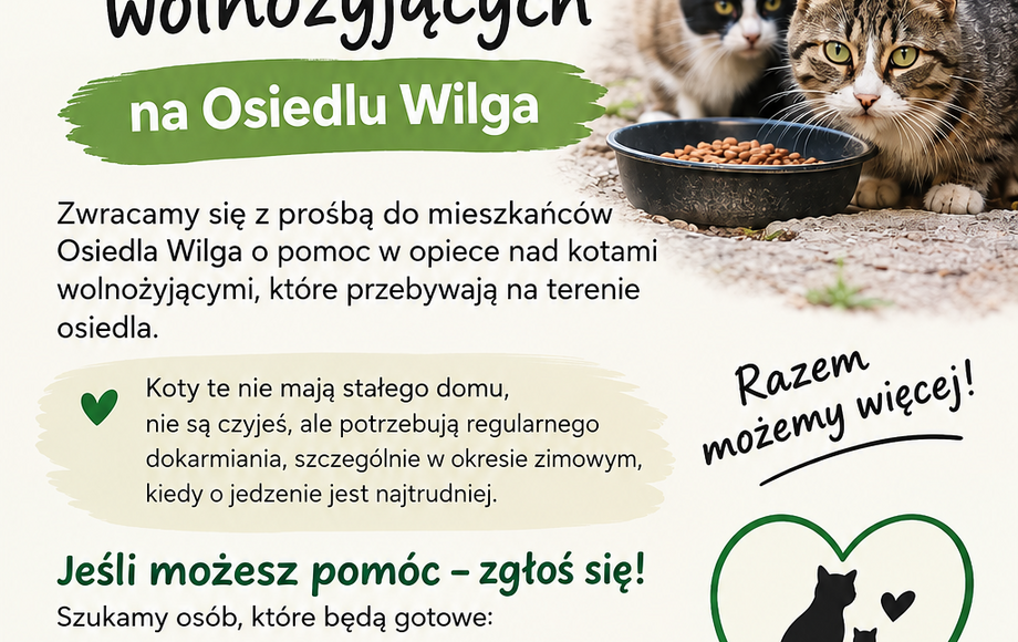 Plan Polowań Zbiorowych Sezon 2026/2027 w obwodzie 447